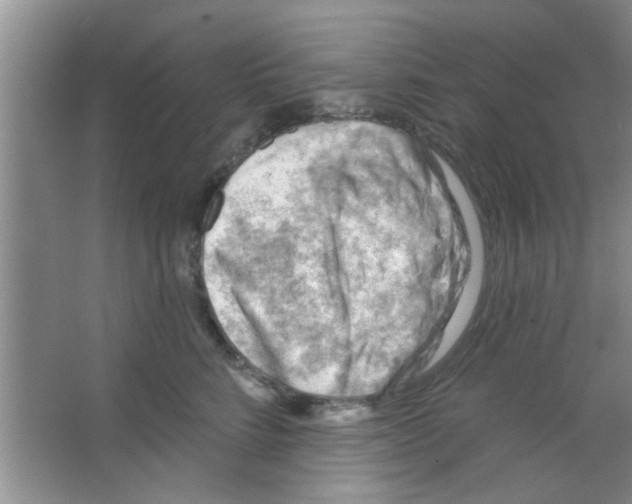 X0000065970712200603311839