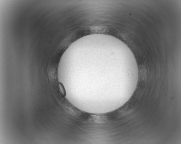 X0000065970713200603311839