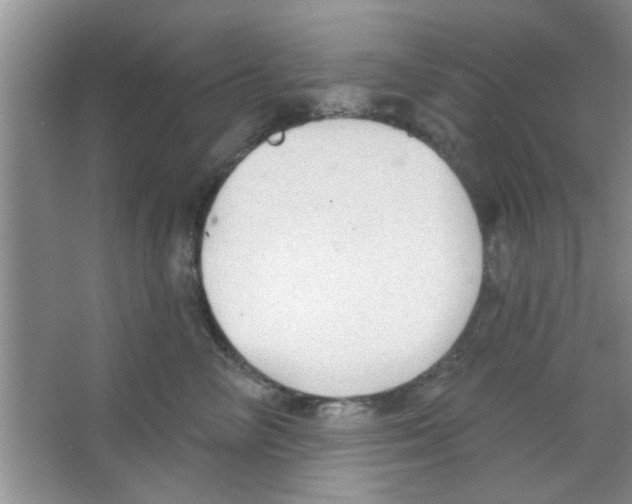 X0000065970714200603311839