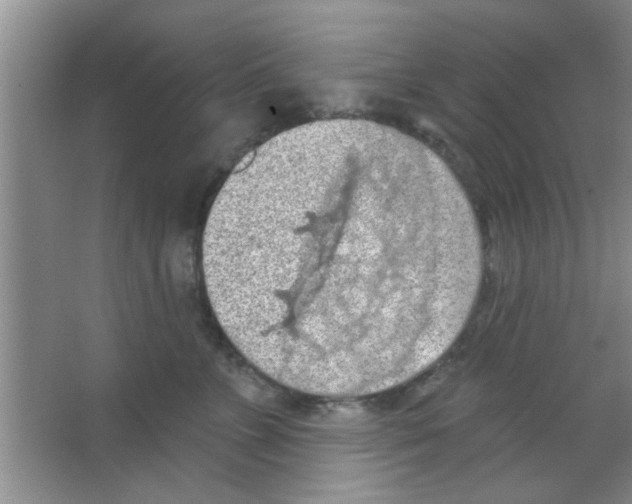 X0000065970715200603311839