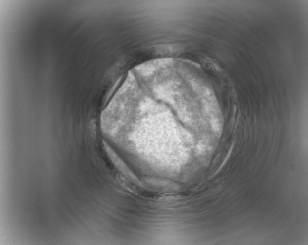 X0000065970716200603311839