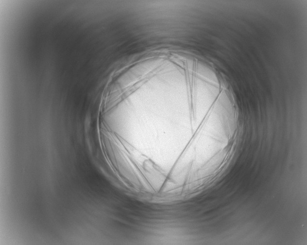 X0000065970717200603311839