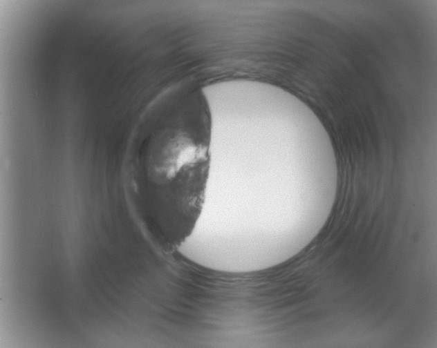 X0000065970719200603311839