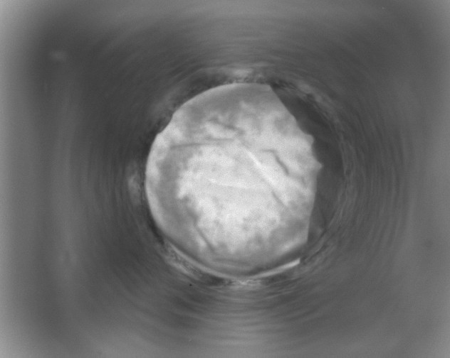 X0000065970720200603311839