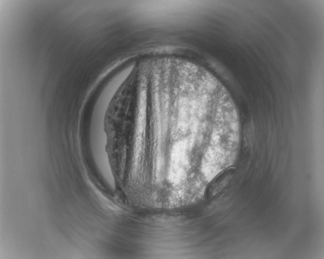 X0000065970722200603311838