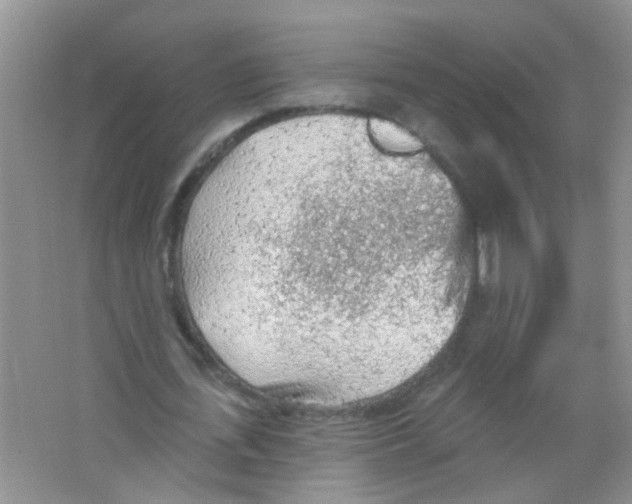 X0000065970723200603311838