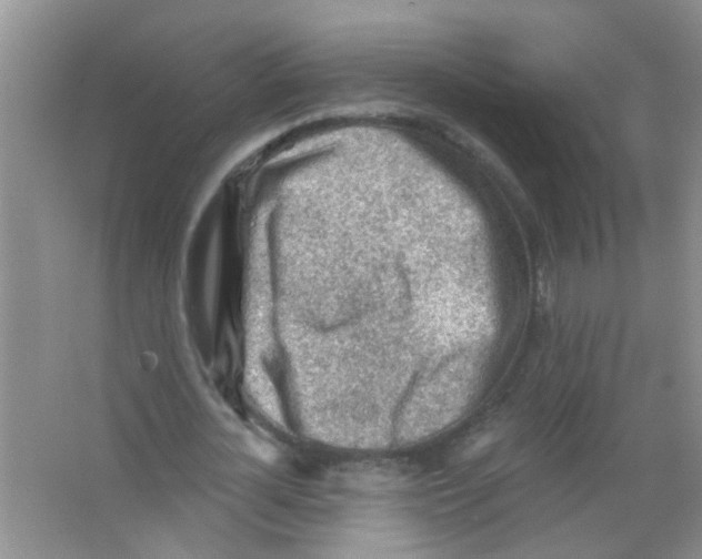 X0000065970724200603311838