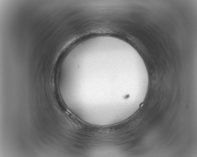 X0000065970727200603311838