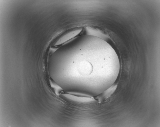 X0000065970731200603311838