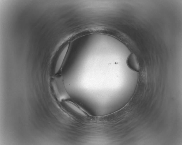 X0000065970732200603311838