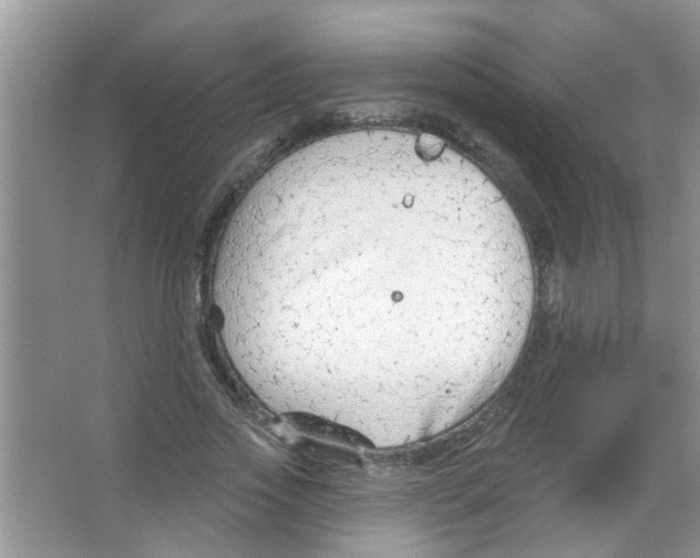 X0000065970733200603311838