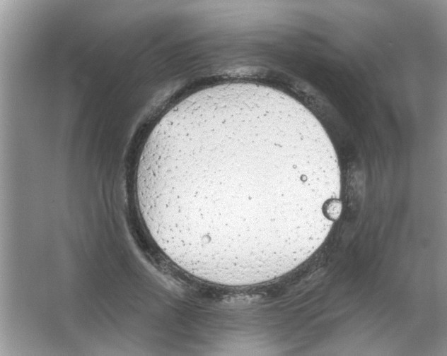 X0000065970734200603311838