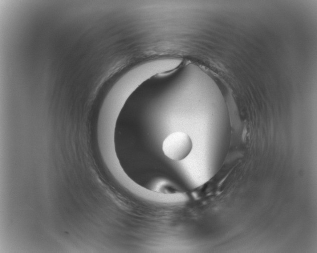 X0000065970735200603311838