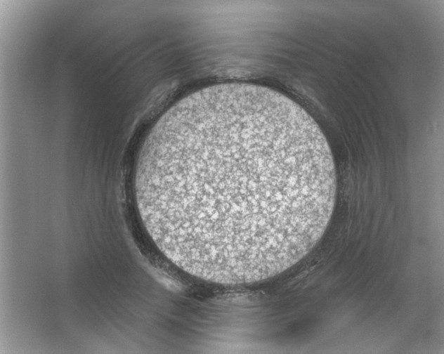 X0000065970738200603311838