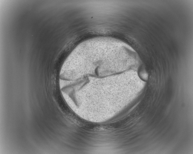 X0000065970739200603311838