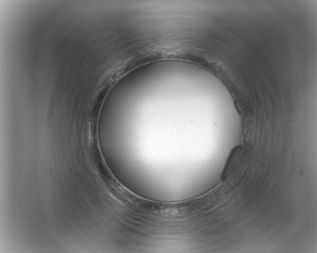 X0000065970740200603311838