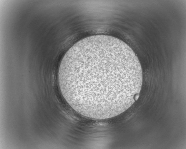 X0000065970741200603311838