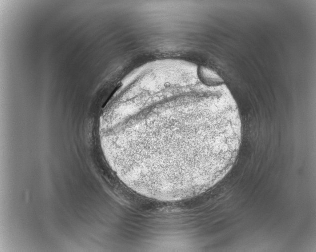 X0000065970742200603311838