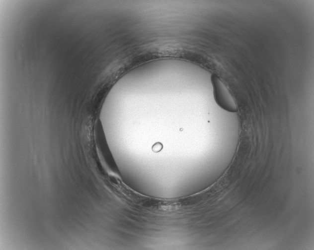 X0000065970744200603311838