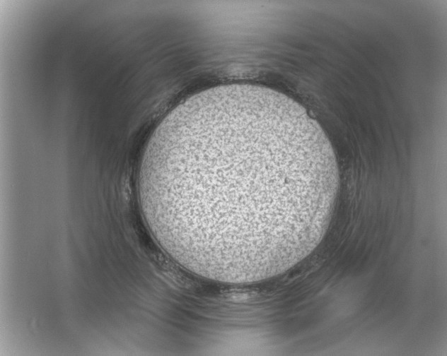 X0000065970746200603311838