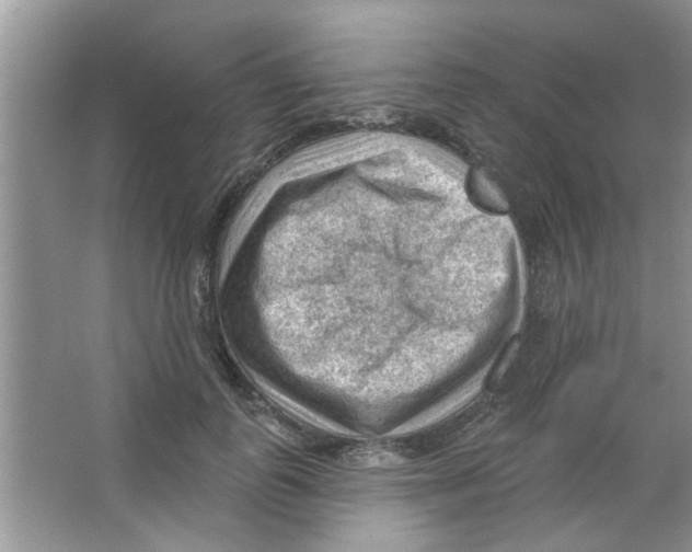 X0000065970747200603311838