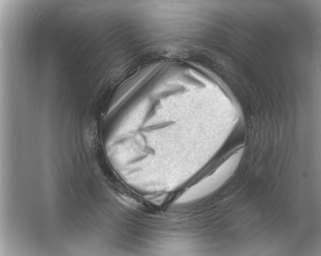 X0000065970748200603311838