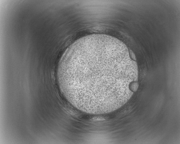 X0000065970749200603311838