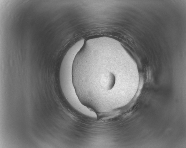 X0000065970750200603311838