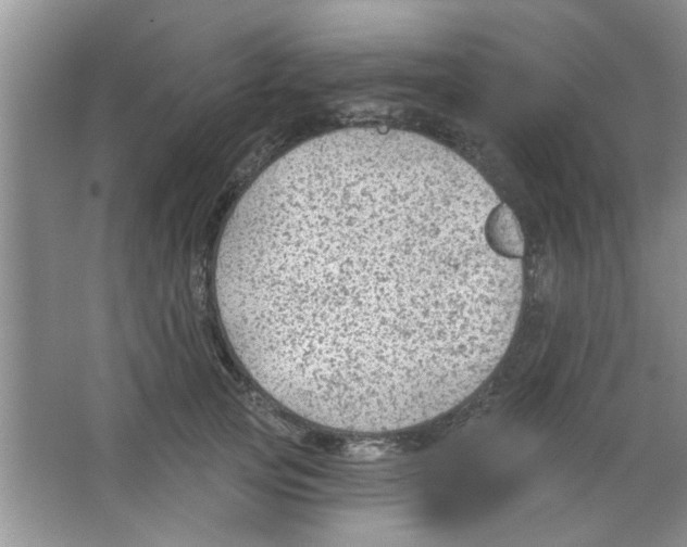 X0000065970753200603311838