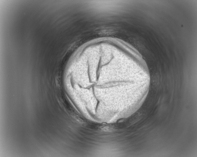 X0000065970755200603311838