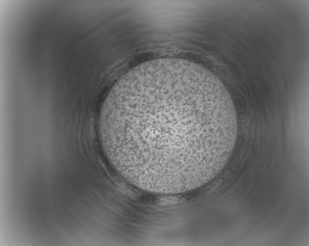 X0000065970757200603311838