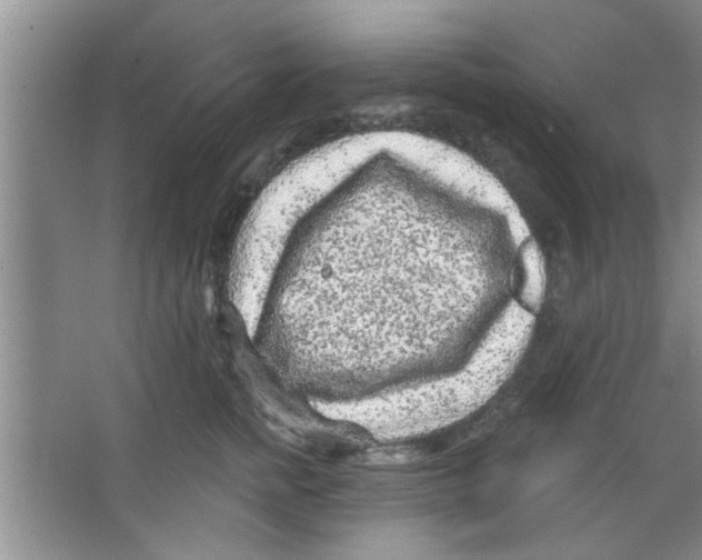 X0000065970758200603311838