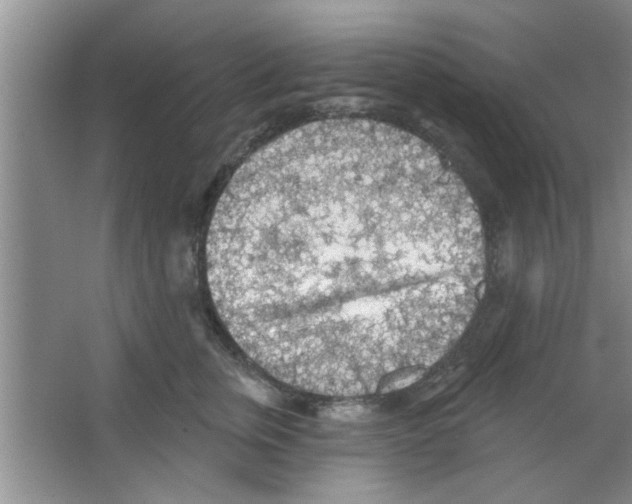 X0000065970759200603311838