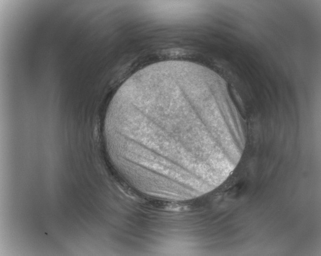 X0000065970760200603311838