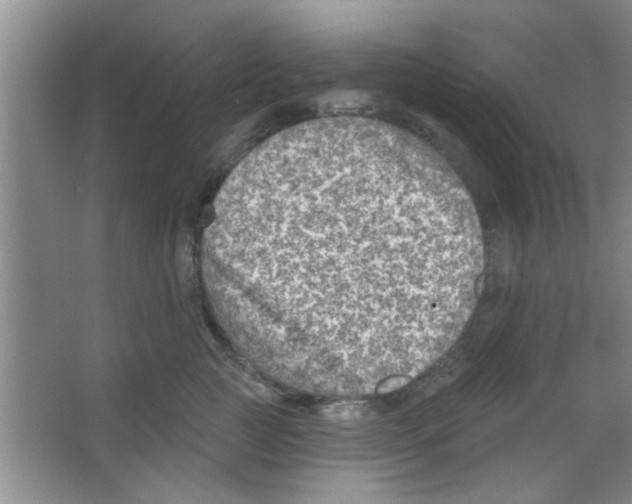 X0000065970761200603311838