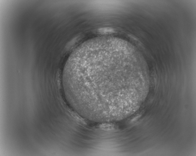 X0000065970762200603311838