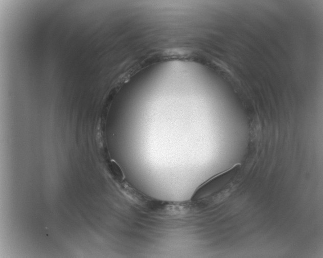 X0000065970764200603311838