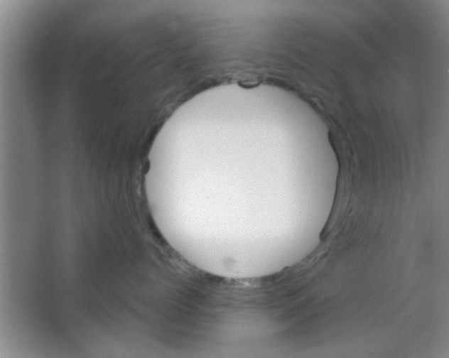 X0000065970768200603311839