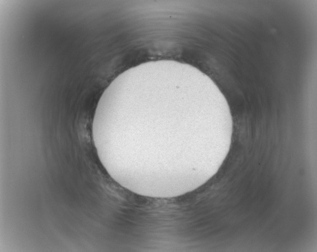 X0000065970770200603311838