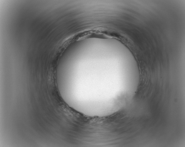 X0000065970773200603311838