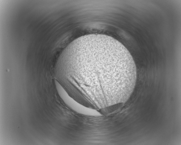 X0000065970774200603311838