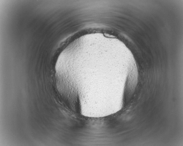 X0000065970775200603311838