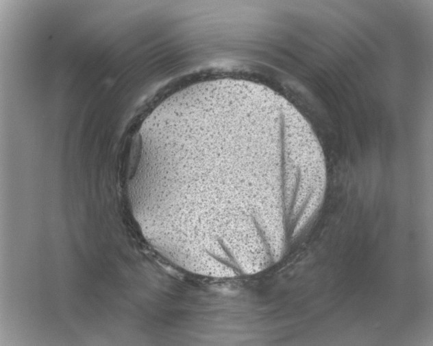 X0000065970776200603311838