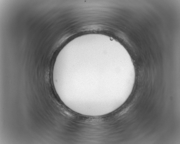 X0000065970778200603311838