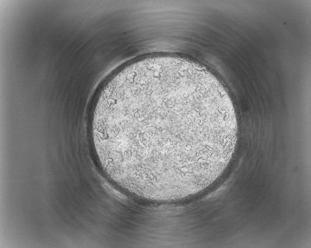 X0000065970779200603311838