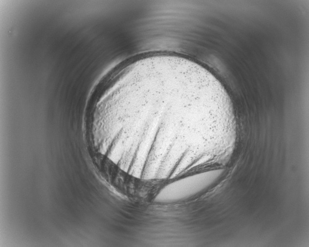 X0000065970780200603311838