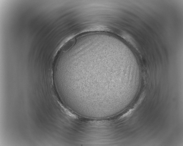 X0000065970781200603311837