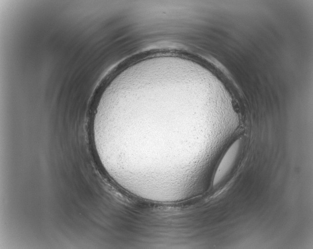 X0000065970783200603311837