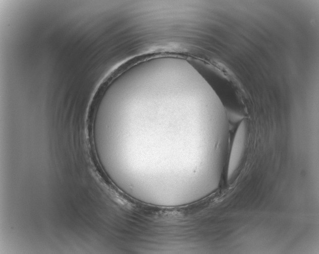 X0000065970784200603311837