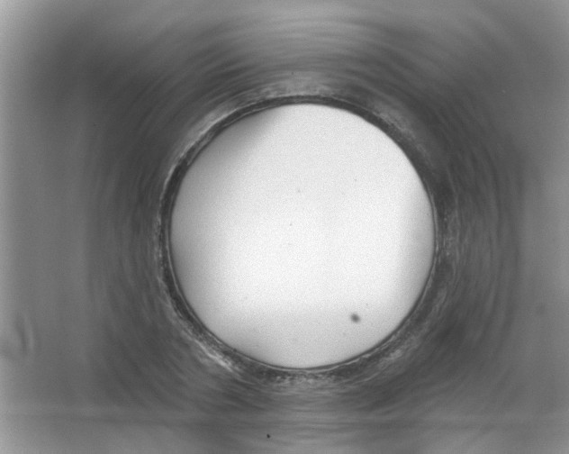 X0000065970786200603311837